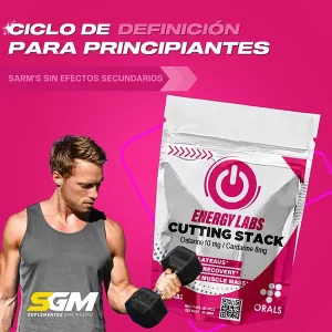 Ciclo definición principiantes