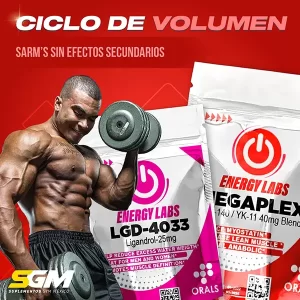 ciclo volumen energy labs